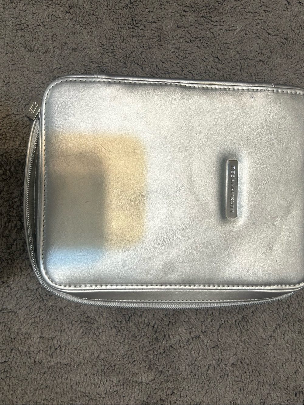 Metallic Silver Travel Pouch Rodan and Fields